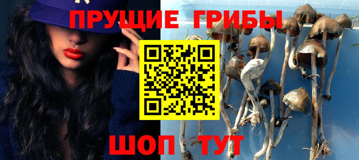 Пенза  Галлюциногенные грибы MAGIC MUSHROOMS  Вход с VPN 
